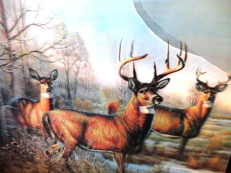 Pohyblivé obrazy 3d, 