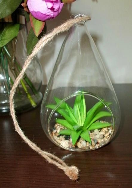 Sukulent v skle - aj na zavesenie,