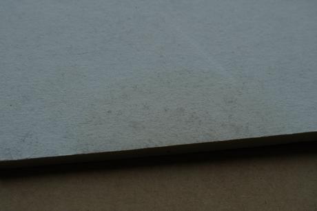 Slovensko slovenské lesy - otázka existenčná,