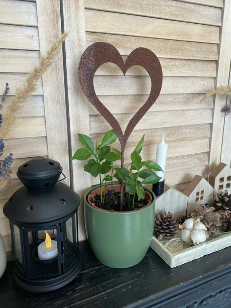 Hrdzavý zápich - srdce, 