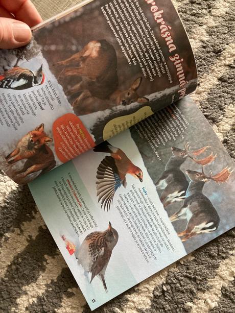 Časopis fifík 9ks plus vianočná knižka 2024/25, 