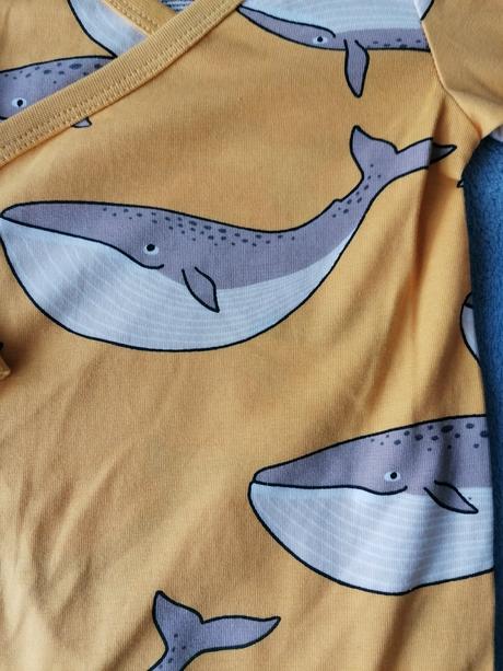 Body veľryby, lindex,62