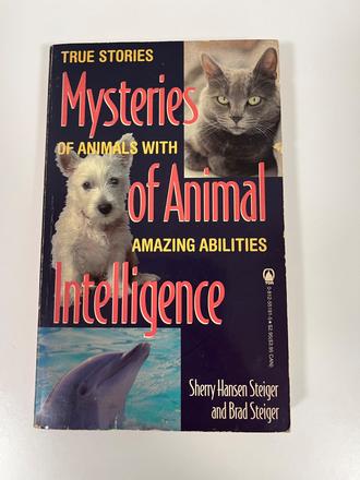 Mysteries of animal intelligence true stories,