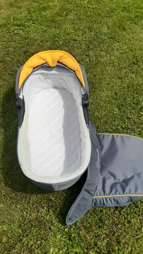 Kočík camarelo, camarelo