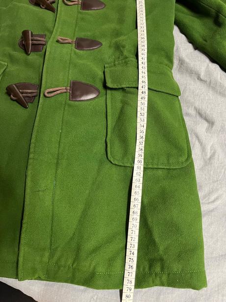 Zelený kabát, house,s