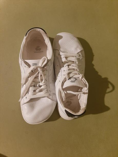 Groundies universe regular, 38