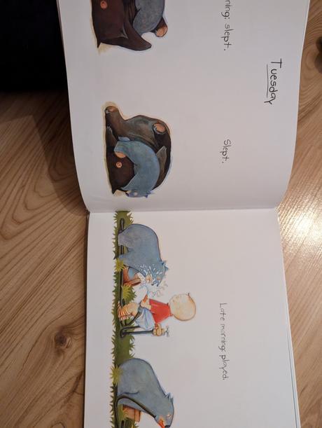 Kniha baby wombat's week,