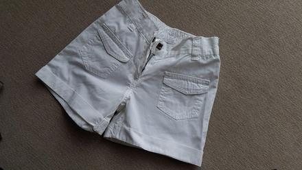 Sortky palomino 104, palomino,104