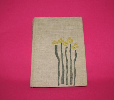 Božena nemcová babička, 