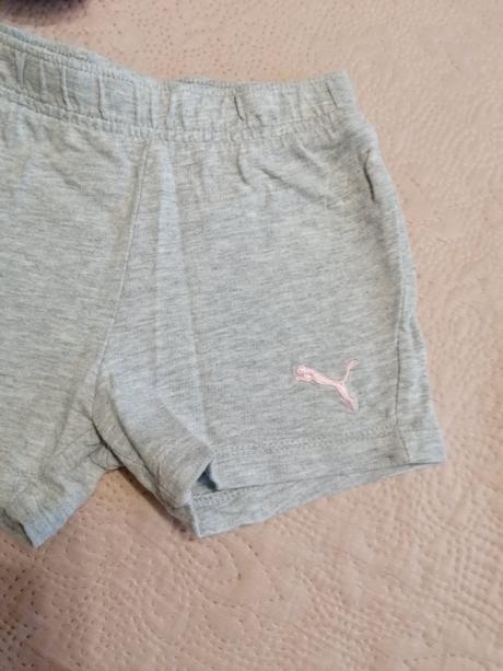 Puma súprava, puma,80