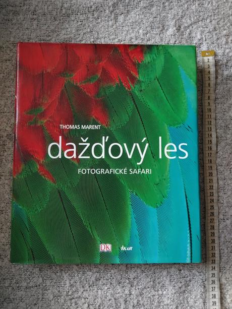Dažďový les, 