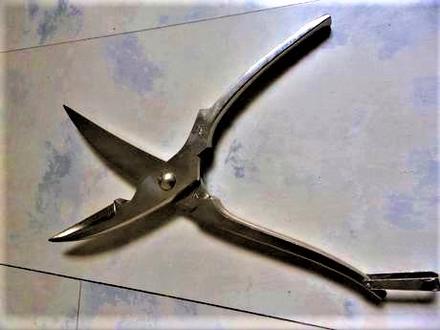 Antikorové nožnice na hydinu,