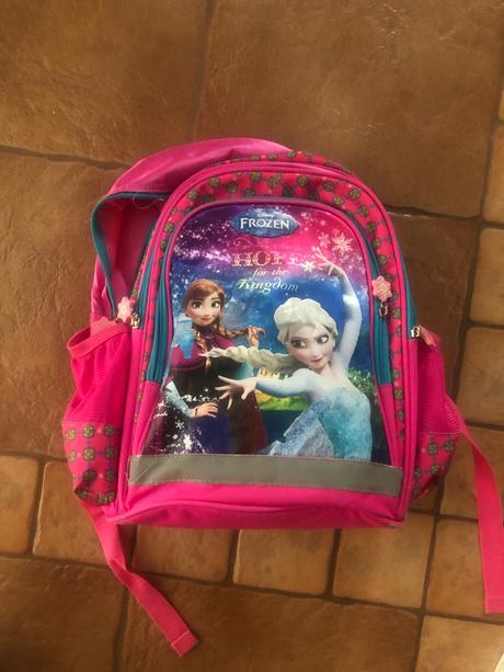 Školská taška alebo vak frozen,