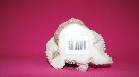 Mackovia - dekorácia, 