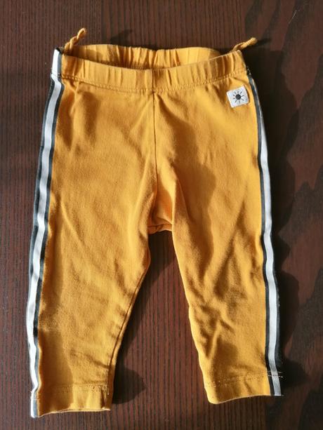 Horcicove leginky, lindex,62