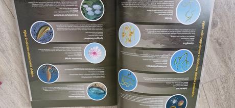 Kniha príbeh života,