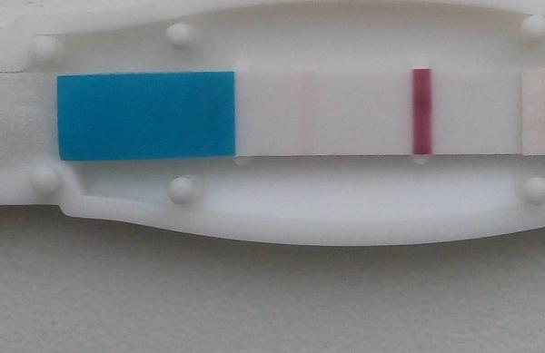 Tri dni mi mešká menzes. Môžem byť tehotná?