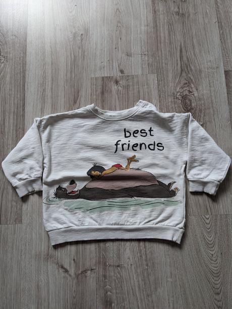 Chlap.mikina, reserved,98