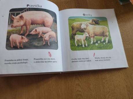 Kamaráti zvieratká, 