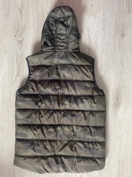 Vesta, chapter young,170