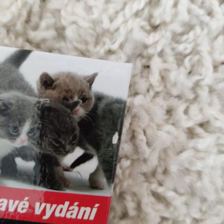 Velká kniha digitální fotografie,