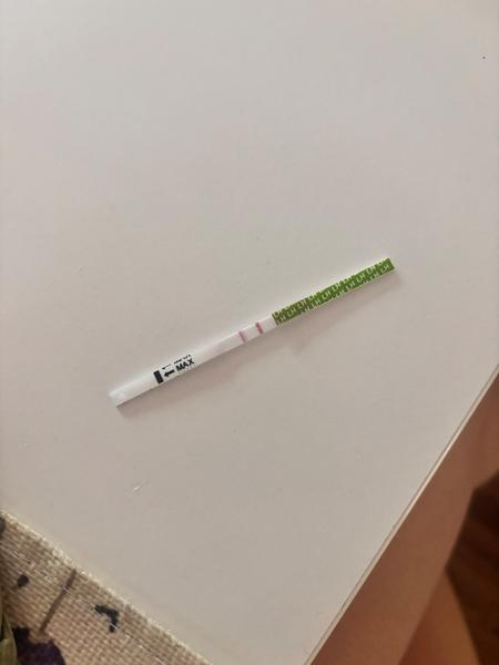 Prebehla už ovulácia?