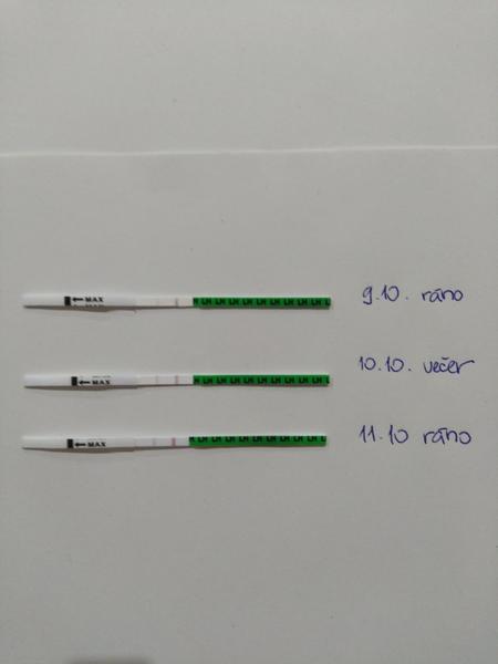 Mala som ovuláciu medzi testovaním?