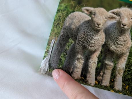 Kniha u nás na statku,