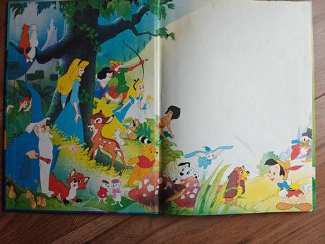 Kniha popoluška walt disney,