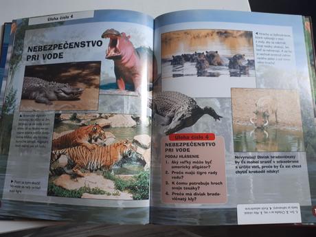 Chlapčenské knižky,