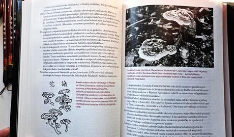 Kniha 'tajomné huby', pavol škubla, 