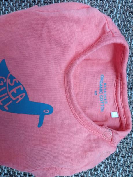 Reserved body seagull 62cm, reserved,62