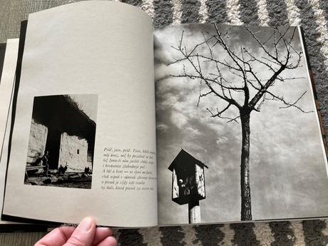 Mne slovensko krása je kállay karol (1981),