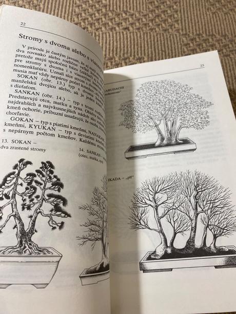 Miloslav ryšán  bonsaj, 