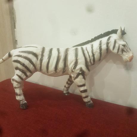 Zebra, 