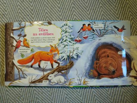 Ki lakik az erdőben,