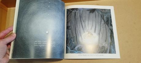 Tang tang - the sun and the mayfly, 