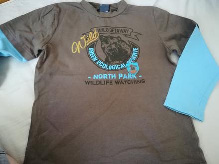 Tričko, coccodrillo,122