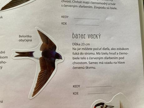 Kniha o zvieratách s nálepkami-zoo,záhrada,motýle,