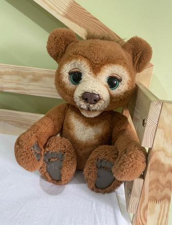 Medvedík cubby, 