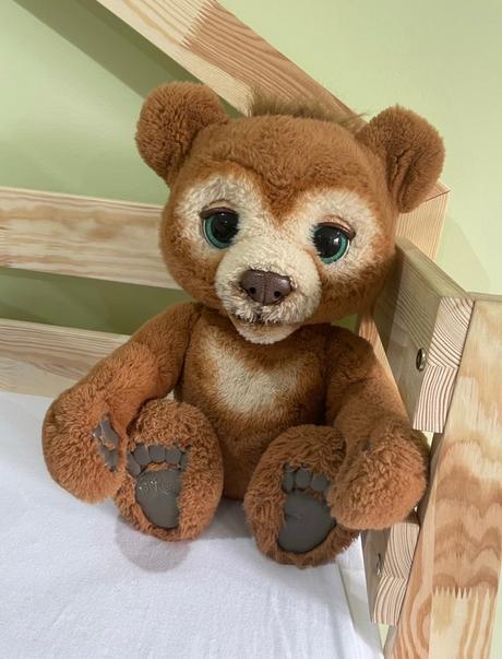 Medvedík cubby, 