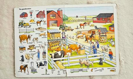 Detská kniha 'prvý detský obrázkový slovník',