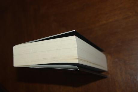 Gone girl - gillian flynn - v nemčine, 