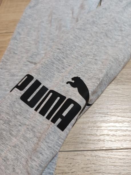 Legíny, puma,140
