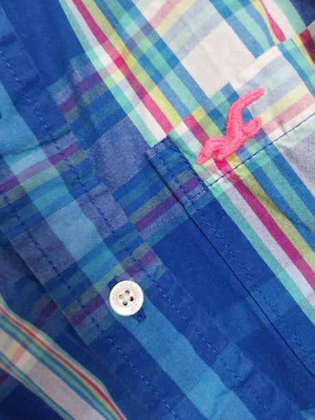 Koselea hollister, hollister,m