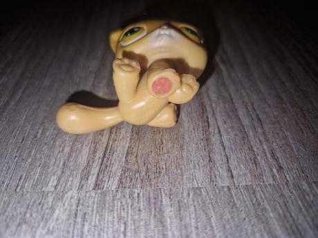 Littlest pet shop 78, 