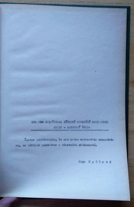 Záverečná práca,