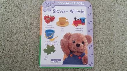 Anglictina pre zaciatocnikov,