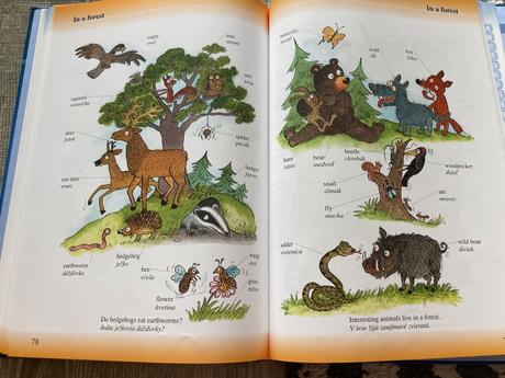 Môj prvý školský anglicko-slovenský slovník,