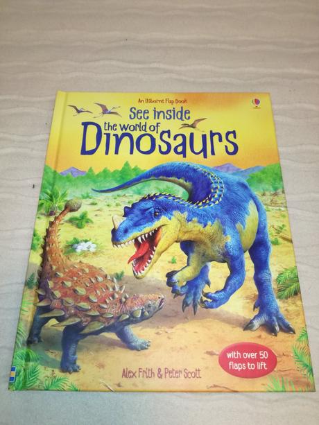 Usborne see inside your body, 